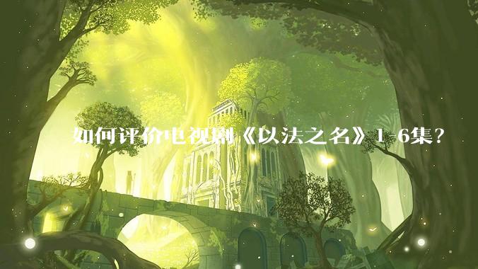 如何评价电视剧《以法之名》1-6集？