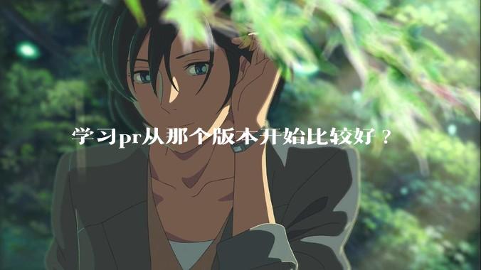 学习pr从那个版本开始比较好?