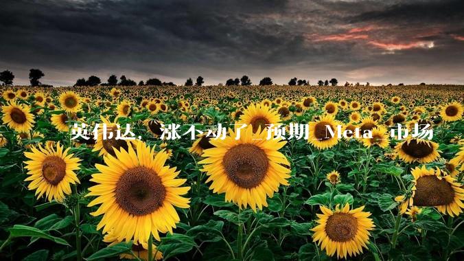 英伟达，涨不动了_预期_Meta_市场