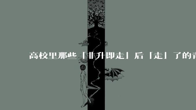 高校里那些「非升即走」后「走」了的青年教师都怎么样了？