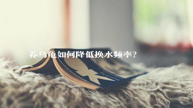 养乌龟如何降低换水频率？